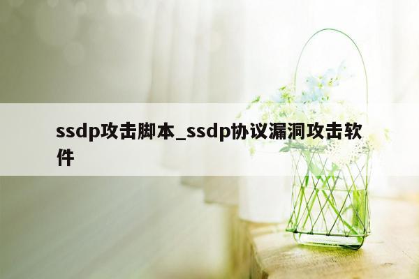 ssdp攻击脚本_ssdp协议漏洞攻击软件