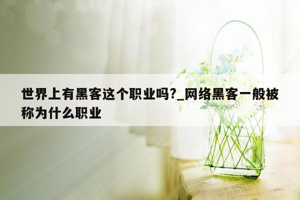 世界上有黑客这个职业吗?_网络黑客一般被称为什么职业