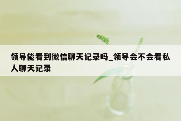 领导能看到微信聊天记录吗_领导会不会看私人聊天记录