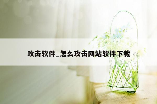 攻击软件_怎么攻击网站软件下载