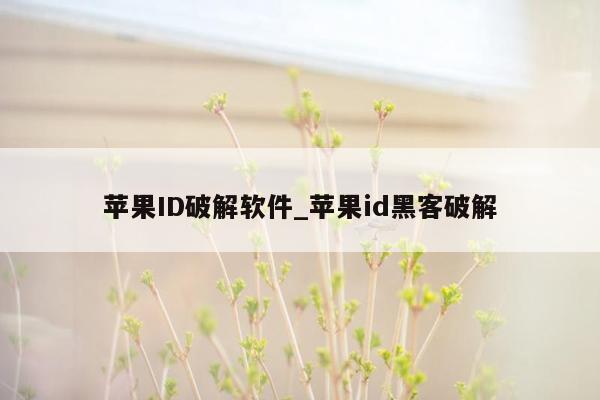 苹果ID破解软件_苹果id黑客破解