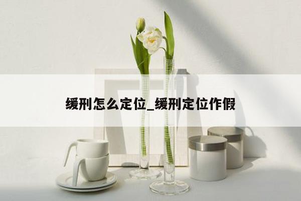 缓刑怎么定位_缓刑定位作假