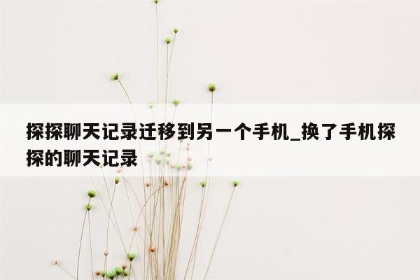 探探聊天记录迁移到另一个手机_换了手机探探的聊天记录