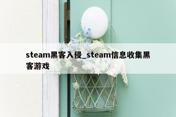 steam黑客入侵_steam信息收集黑客游戏