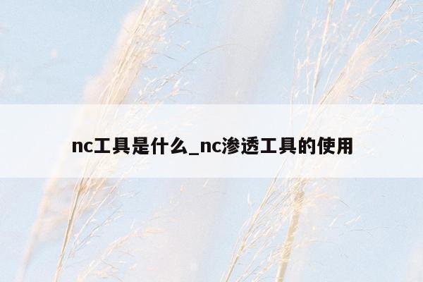 nc工具是什么_nc渗透工具的使用