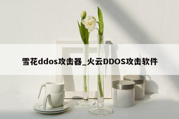 雪花ddos攻击器_火云DDOS攻击软件