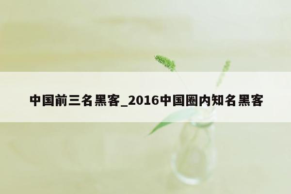 中国前三名黑客_2016中国圈内知名黑客