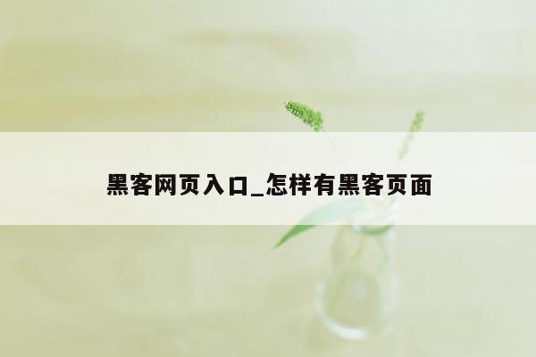 黑客网页入口_怎样有黑客页面