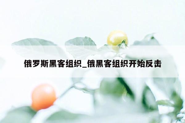 俄罗斯黑客组织_俄黑客组织开始反击