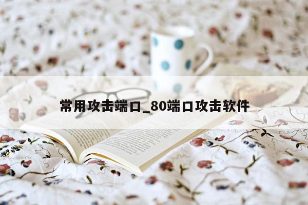 常用攻击端口_80端口攻击软件