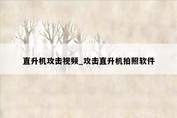 直升机攻击视频_攻击直升机拍照软件