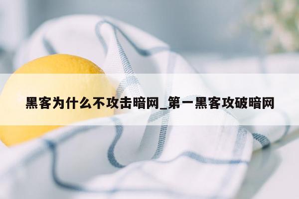 黑客为什么不攻击暗网_第一黑客攻破暗网