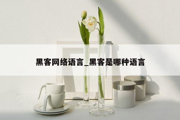 黑客网络语言_黑客是哪种语言