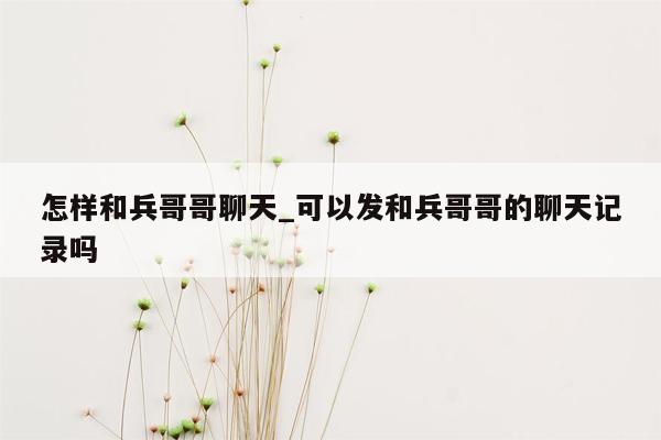 怎样和兵哥哥聊天_可以发和兵哥哥的聊天记录吗