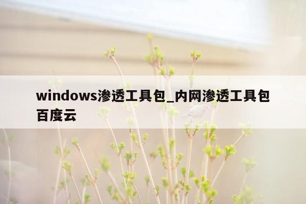 windows渗透工具包_内网渗透工具包百度云