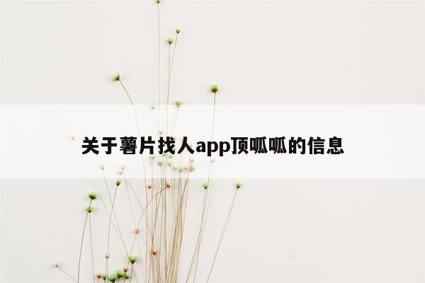 关于薯片找人app顶呱呱的信息