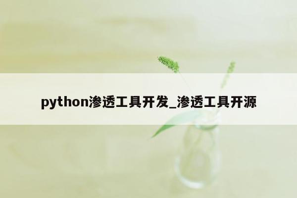 python渗透工具开发_渗透工具开源