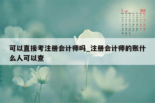 可以直接考注册会计师吗_注册会计师的账什么人可以查