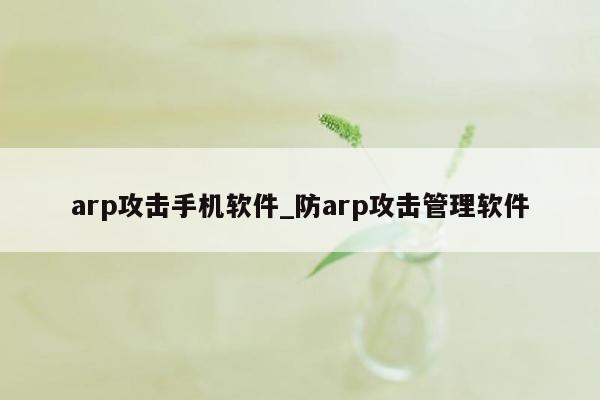 arp攻击手机软件_防arp攻击管理软件