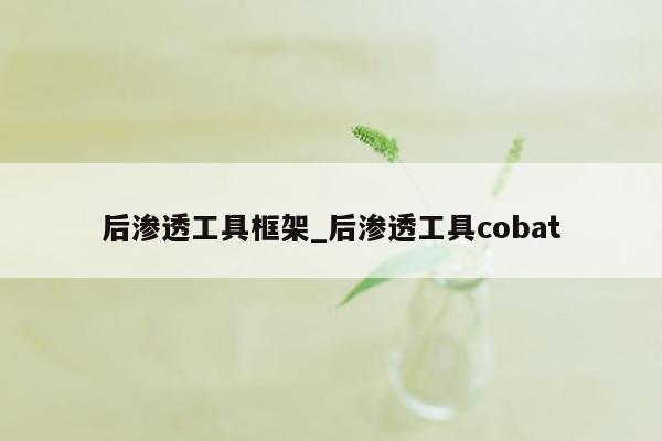 后渗透工具框架_后渗透工具cobat