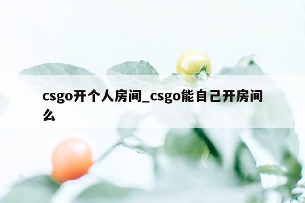 csgo开个人房间_csgo能自己开房间么