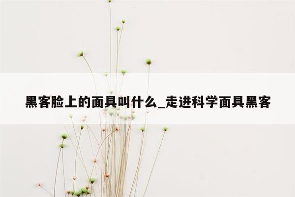 黑客脸上的面具叫什么_走进科学面具黑客