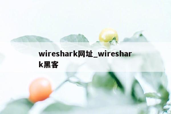 wireshark网址_wireshark黑客