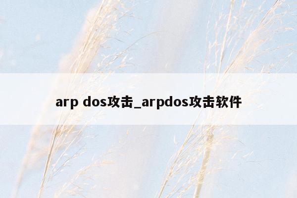 arp dos攻击_arpdos攻击软件