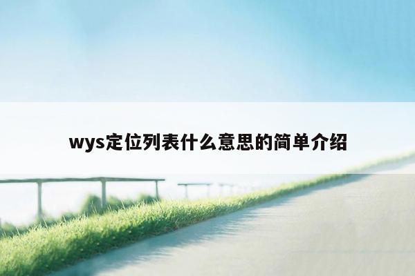 wys定位列表什么意思的简单介绍