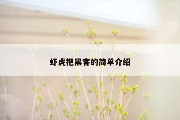 虾虎把黑客的简单介绍