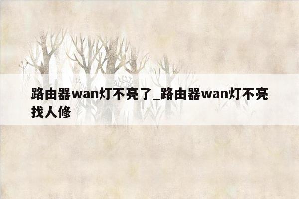 路由器wan灯不亮了_路由器wan灯不亮找人修