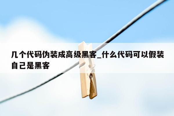 几个代码伪装成高级黑客_什么代码可以假装自己是黑客