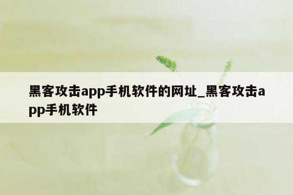 黑客攻击app手机软件的网址_黑客攻击app手机软件