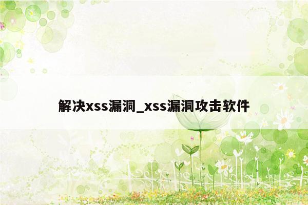 解决xss漏洞_xss漏洞攻击软件