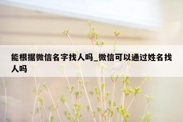 能根据微信名字找人吗_微信可以通过姓名找人吗