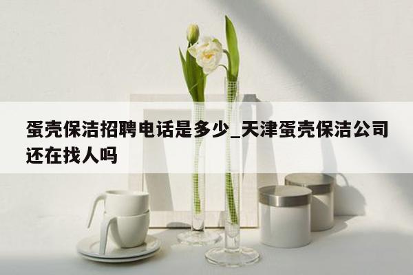 蛋壳保洁招聘电话是多少_天津蛋壳保洁公司还在找人吗