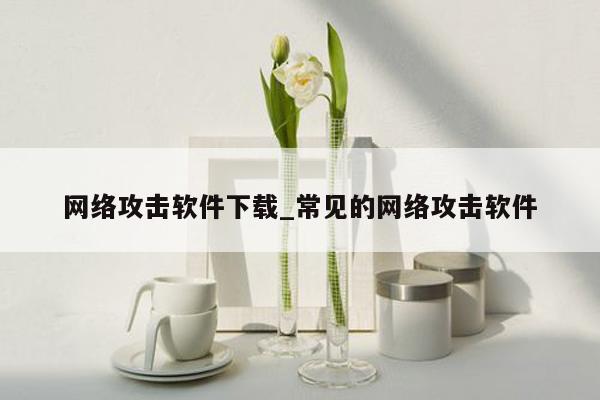 网络攻击软件下载_常见的网络攻击软件