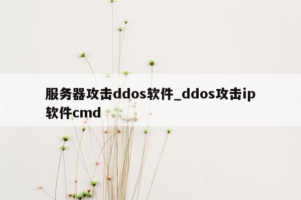 服务器攻击ddos软件_ddos攻击ip软件cmd