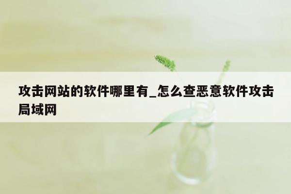 攻击网站的软件哪里有_怎么查恶意软件攻击局域网