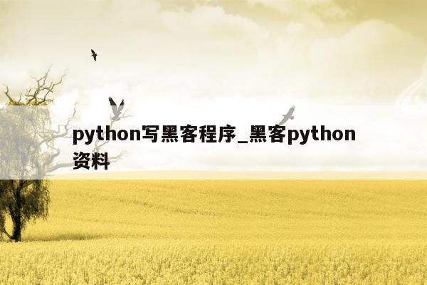 python写黑客程序_黑客python资料