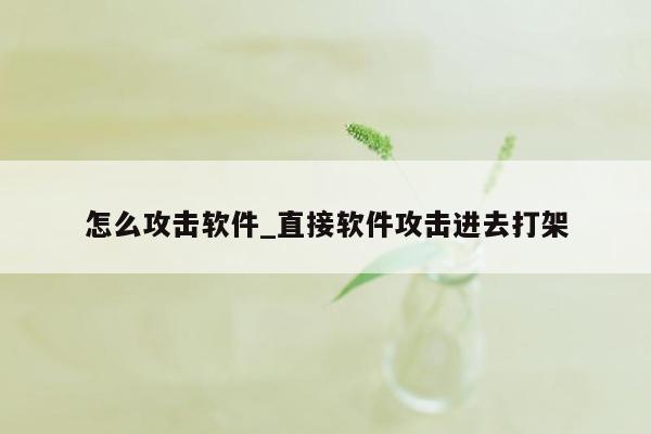 怎么攻击软件_直接软件攻击进去打架