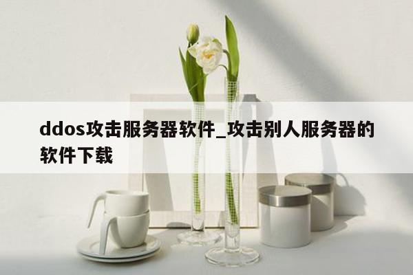 ddos攻击服务器软件_攻击别人服务器的软件下载