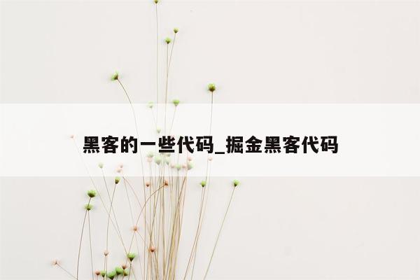 黑客的一些代码_掘金黑客代码