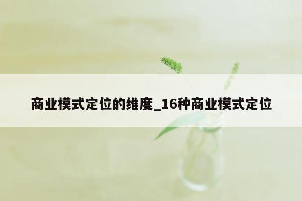 商业模式定位的维度_16种商业模式定位