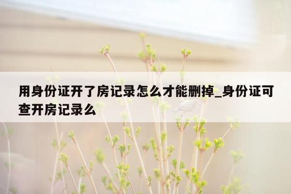 用身份证开了房记录怎么才能删掉_身份证可查开房记录么