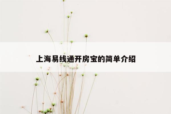 上海易线通开房宝的简单介绍