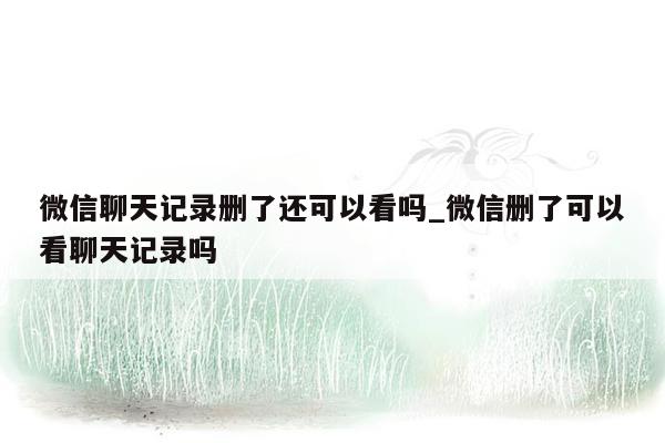 微信聊天记录删了还可以看吗_微信删了可以看聊天记录吗