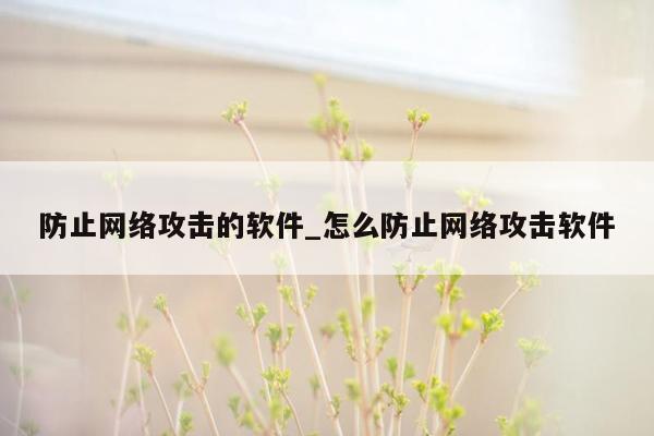 防止网络攻击的软件_怎么防止网络攻击软件