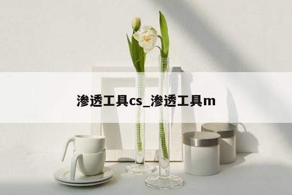 渗透工具cs_渗透工具m