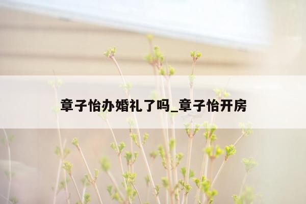 章子怡办婚礼了吗_章子怡开房